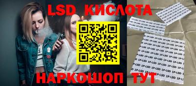 крисы Дубна