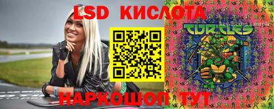 крисы Дубна