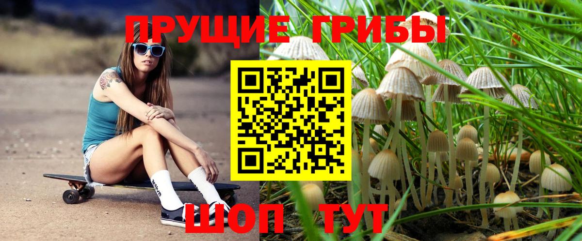 Галлюциногенные грибы Cubensis Лангепас
